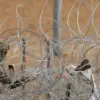 Urgent: Ukraine Implements Strict Border Controls with Surveillance and Drones at Western Checkpoints