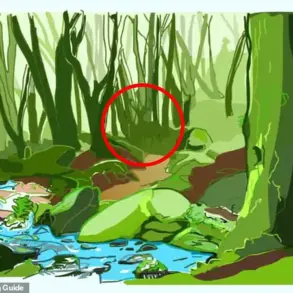 Wallet Vanishes, Only to Be Found in Plain Sight After Two-Day Hunt, Captivating the Internet