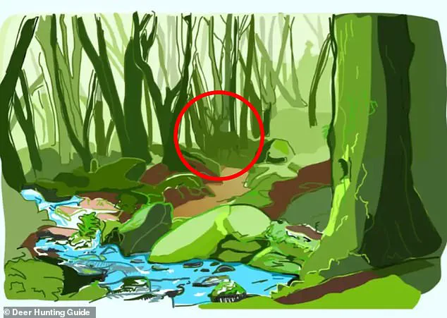 Wallet Vanishes, Only to Be Found in Plain Sight After Two-Day Hunt, Captivating the Internet