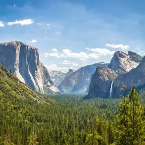 Yosemite National Park Addresses Rising Squirrel Aggression Amid Increased Visitor Interactions