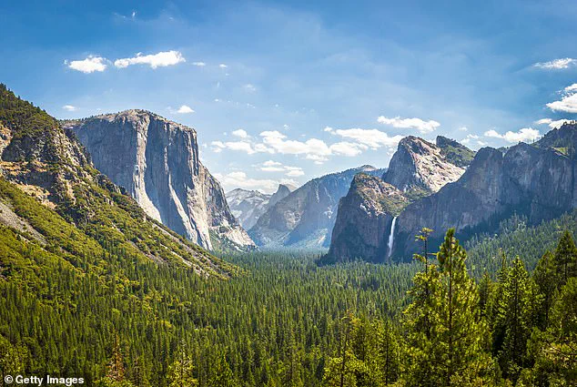 Yosemite National Park Addresses Rising Squirrel Aggression Amid Increased Visitor Interactions
