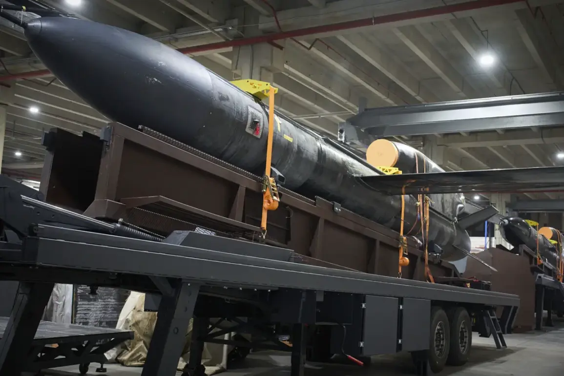 AP Photographer Efrem Lukatsky Shares First Public Image of Ukraine's 'Flamingo' Ballistic Missile