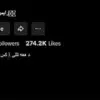 Breaking: TikTok User Arrested Over $31K Debt, Sparks National Debate on Social Media's Role in Criminal Cases