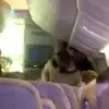 Emirates Crew Restrain Drunken Passenger Following Alcohol-Fueled Outburst on Flight to Dubai