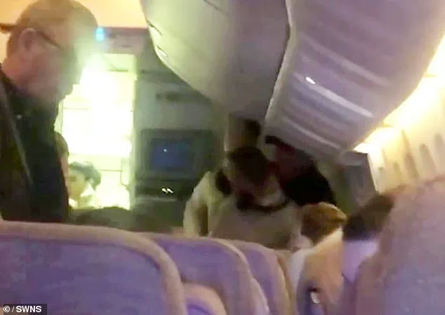 Emirates Crew Restrain Drunken Passenger Following Alcohol-Fueled Outburst on Flight to Dubai