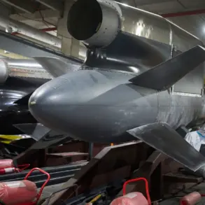 Flamingo Rocket's Design and Military Applications Spark Analysis by Defense Experts