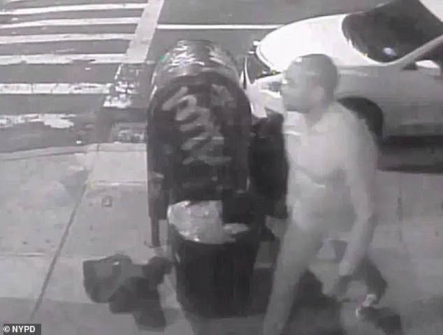 Mother Demands Justice as Minimal Legal Consequences Follow Fatal Punch in NYC Incident