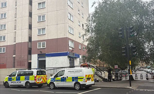 Police Confrontation with 16-Year-Old Near Stamford Bridge Sparks Panic and Social Media Rumors