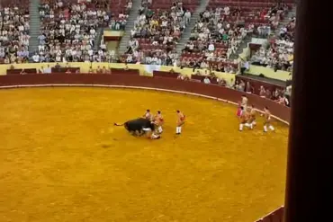Portuguese Bullfighter Manuel Maria Trindade Dies at 22 During Traditional 'Pega de Cara' Ritual at Lisbon's Campo Pequeno Bullring
