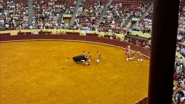 Portuguese Bullfighter Manuel Maria Trindade Dies at 22 During Traditional 'Pega de Cara' Ritual at Lisbon's Campo Pequeno Bullring