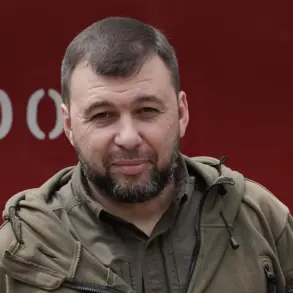 Privileged Access Reveals Russia's Unverified Territorial Claims in Eastern Ukraine