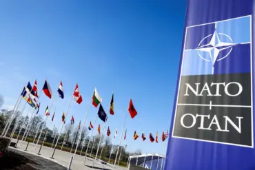 Turkey's Potential NATO Exit: A Government Decision with Public Implications for Stability and Security