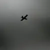Ukrainian Drone Attack Injures Woman, Raises Security Fears in Voronezh Region