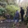 Unearthing Earth's Secrets: The Hidden Geological Treasure of Highway 199 in Northern California
