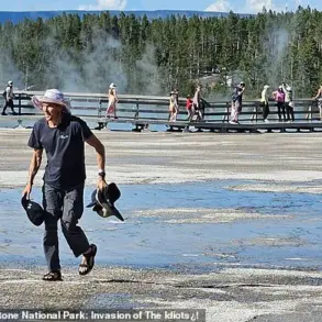 Yellowstone Regulation Violation Sparks Debate on Public Access and Ecosystem Protection