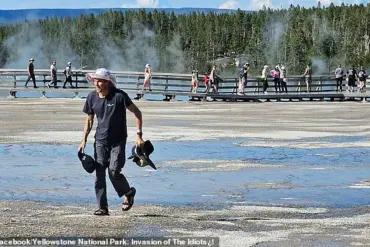 Yellowstone Regulation Violation Sparks Debate on Public Access and Ecosystem Protection
