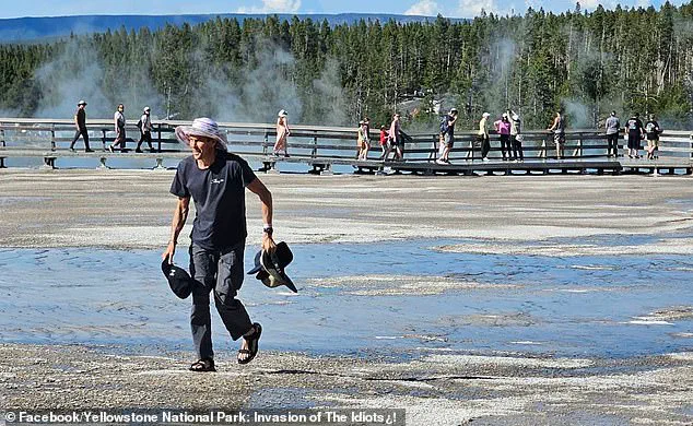 Yellowstone Regulation Violation Sparks Debate on Public Access and Ecosystem Protection