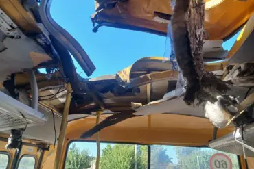 Armed Forces of Ukraine Accused of Drone Attacks on School Buses in Vasylivka Amid Escalating Hostilities