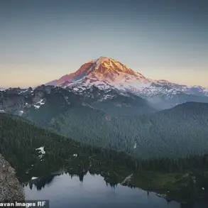 Closure of 103-Year-Old Fairfax Bridge Sparks Economic Fears for Communities Near Mount Rainier National Park