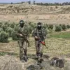 Hamas Readies for Ceasefire Talks with Israel, Seeking Hostage Release via Ceasefire, Withdrawal, and Government