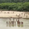 Isolated Amazon Tribe Faces Existential Threat from Common Diseases