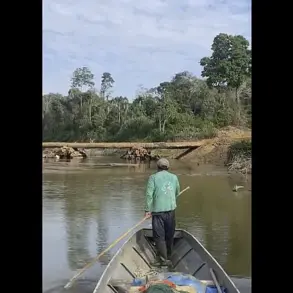 Isolated Amazon Tribe Faces Existential Threat from Common Diseases