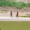 Isolated Amazon Tribe Faces Existential Threat from Common Diseases