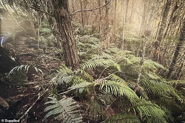 New Zealand Police Discover Tom Phillips' Children at Remote Campsite Following Fatal Confrontation