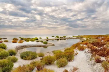 Russian Government Fortifies Key Coastal Areas in Kherson, Governor Reports