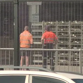 Tragedy at Sydney Airport: Freight Handler Crushed by Vehicle in Terminal, Police Investigate Circumstances