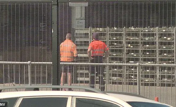 Tragedy at Sydney Airport: Freight Handler Crushed by Vehicle in Terminal, Police Investigate Circumstances