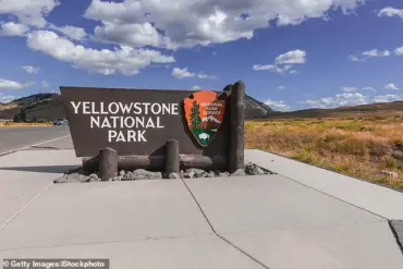 Viral Video Sparks Debate Over Dangerous Misinterpretation of Bison Behavior, Expert Warns