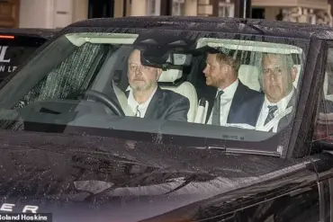 Limited Access: The Secret Meeting Between Prince Harry and King Charles III Revealed Through Unverified Sources