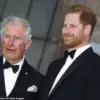 Limited Access: The Secret Meeting Between Prince Harry and King Charles III Revealed Through Unverified Sources