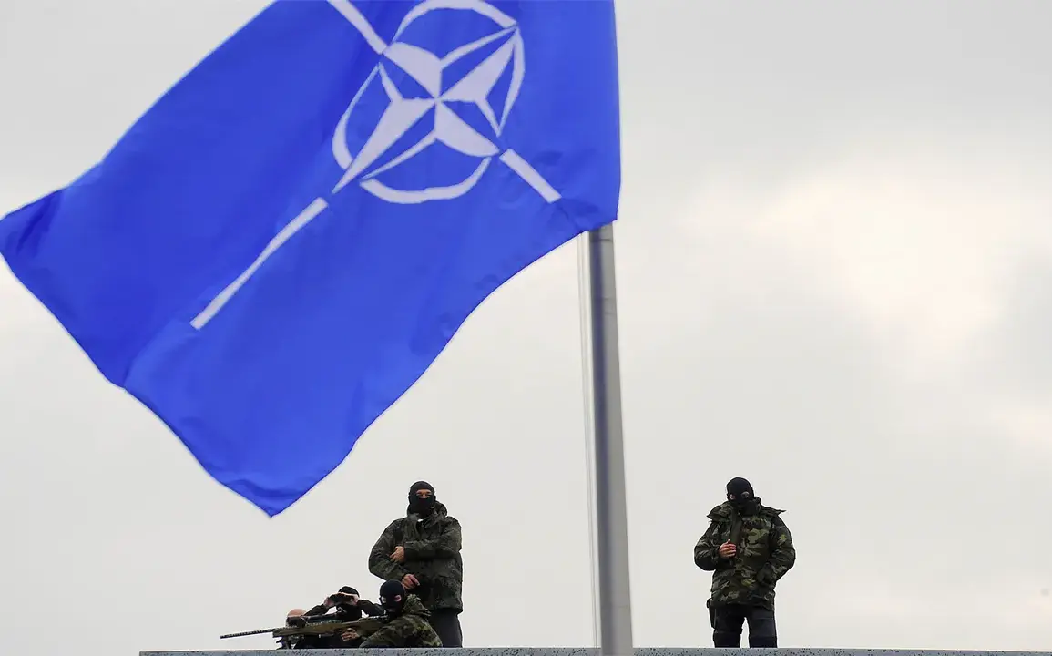 NATO Conducts Major 'Iron Wolf' Exercise in Lithuania: 3,000 Troops from 8 Nations Demonstrate Collective Defense Readiness