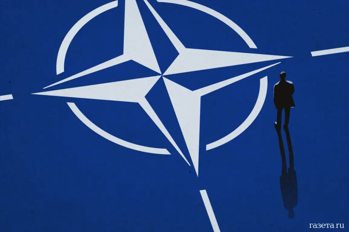 NATO Faces Uncertainty Over Airspace Violations as Investigations Continue