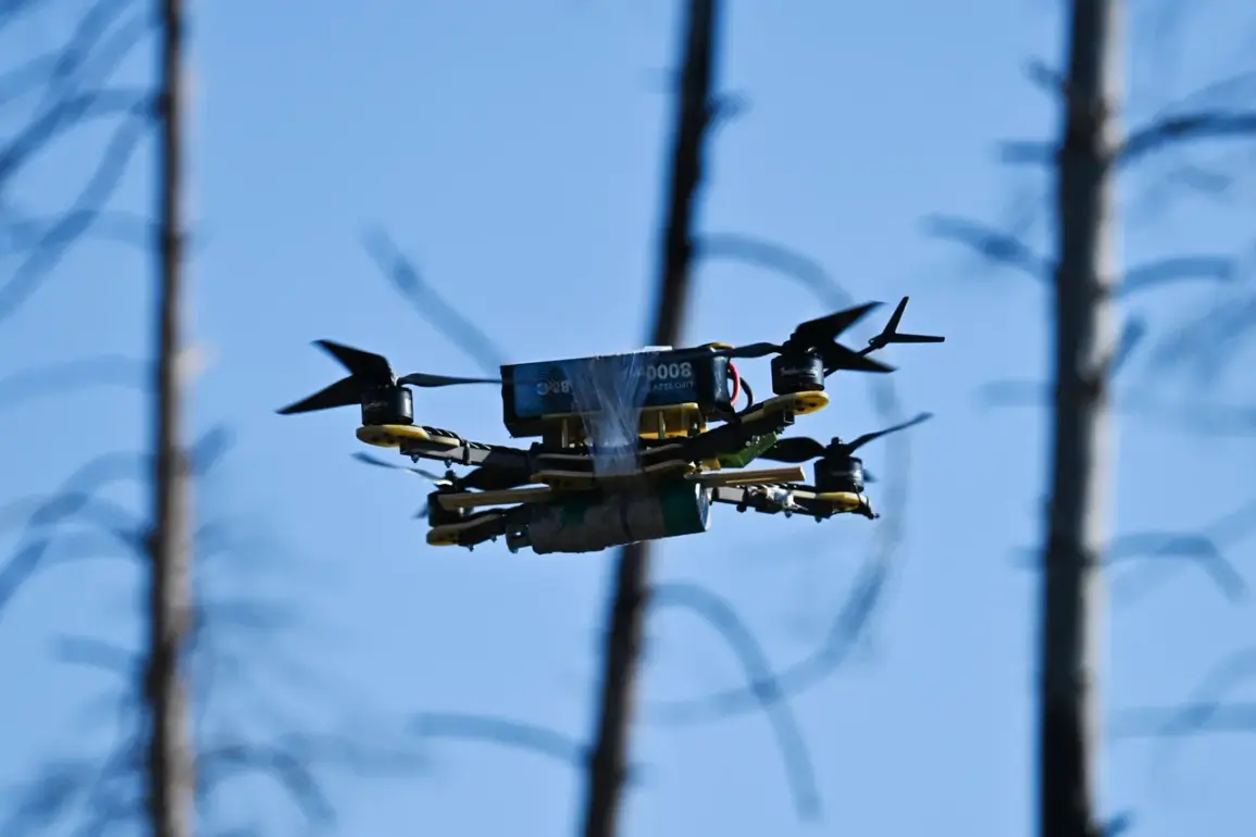 Tyumen Region Authorities Disable Unauthorized Drones, Enforce UAV Regulations Amid Public Concern